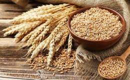 Qu'est-ce qui est fait à partir de seigle et comment cette céréale est-elle utile?