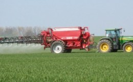 Engrais pour le blé d'hiver: comment se nourrir à l'automne