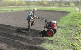 Technologie de plantation de pommes de terre avec un tracteur à conducteur marchant