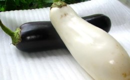 Que sont les aubergines blanches et en quoi elles diffèrent des aubergines ordinaires