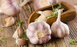 Instructions étape par étape pour la culture de l'ail en extérieur pour les débutants: étapes et conseils d'agriculteurs expérimentés