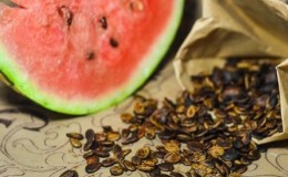 Comment conserver les graines de pastèque pour la plantation à domicile
