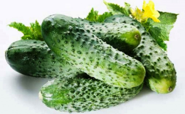 Quelles sont les variétés de concombres, classification complète