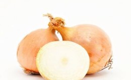 Hybride d'oignon à haut rendement pour un stockage à long terme 