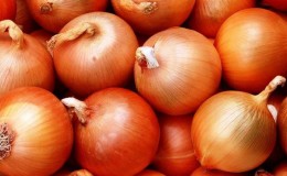 Type de salade d'oignon 