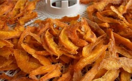 Collations saines à la maison: comment sécher correctement la citrouille dans une sécheuse électrique et avec ce que vous pouvez la manger