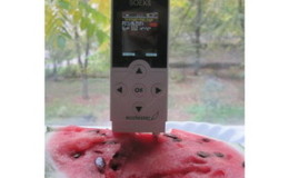 Comment tester une pastèque pour les nitrates à la maison?