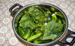 6 des plus délicieuses recettes de cornichons dans une casserole