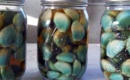 Pourquoi l'ail devient-il vert? Conseils pratiques pour se débarrasser de ce problème