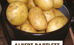 Variété de pomme de terre de table mi-précoce 