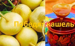 Le navet au miel aide-t-il la toux et comment utiliser correctement un tel médicament