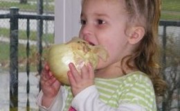 Est-il possible de donner des oignons à un petit enfant et à quel âge