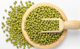 Que sont les haricots et en quoi sont-ils différents des haricots