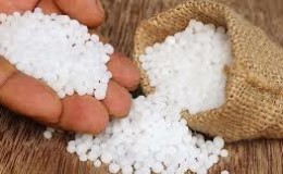 À quoi servent les engrais azotés pour les concombres en serre, à quoi servent-ils et comment les appliquer correctement?