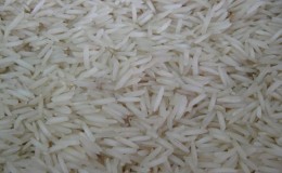 Quel est le nom du riz à grain long - variétés populaires et leurs utilisations