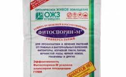 Instructions pour l'utilisation de la phytosporine pour les concombres