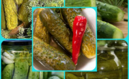 Pourquoi les concombres marinés se ratatinent et comment faire la bonne coupe pour l'éviter