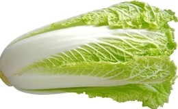 Combien de calories contient le chou chinois et comment il est utile