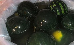 Comment faire fermenter des pastèques dans un tonneau: recettes éprouvées