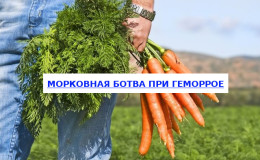 Comment pouvez-vous utiliser les carottes pour les hémorroïdes et quelle est son efficacité