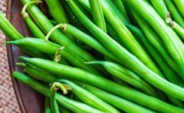 Quelle est la différence entre les asperges et les haricots verts: photos de légumineuses et la différence entre elles