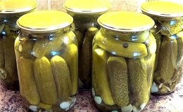 Les recettes les plus délicieuses de concombres à l'acide citrique pour l'hiver