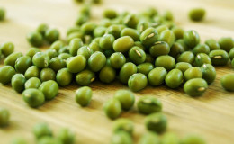 Haricots mungo verts - ce qu'ils sont et comment ils sont utiles