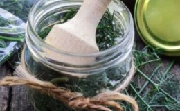 Les meilleures recettes pour préparer l'aneth pour l'hiver