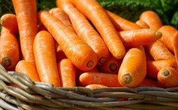 Teneur en calories, vitamines et valeur nutritionnelle des carottes fraîches et cuites