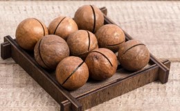 Propriétés utiles de la noix de macadamia pour les hommes et les règles de son utilisation