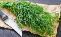 Les bienfaits de l'aneth pour la santé et ce qu'on y mange