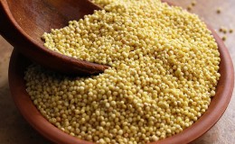 Quelle est la différence entre le millet et le millet