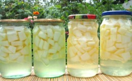 De délicieuses recettes de flans de melon pour l'hiver - léchez-vous les doigts!