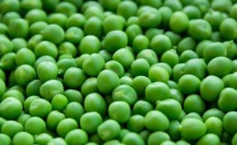 À côté de quelles cultures est-il préférable de planter des pois