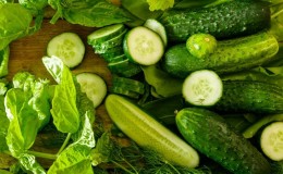 Hybride de concombre de mi-saison 