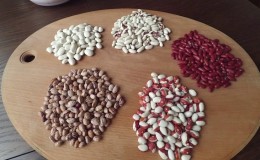 Comment faire cuire des haricots en conserve pour l'hiver: les recettes maison les plus délicieuses