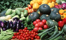 Que planter après une citrouille l'année prochaine: règles de rotation des cultures et recommandations utiles pour dresser les lits