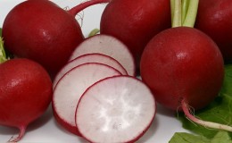 À quelle famille appartient le radis, ses caractéristiques et sa description