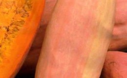 Légume exotique au goût et au nom inhabituels - citrouille 