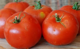 Vétéran de la sélection domestique - Tomate «à maturation précoce de Sibérie», éprouvée par le temps et appréciée des jardiniers