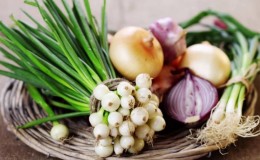 Quels types d'oignons sont, leurs caractéristiques et quelle variété convient le mieux à un stockage à long terme