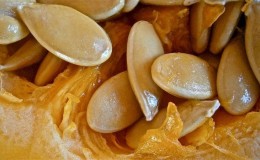 Les avantages et les inconvénients des graines de citrouille pour les femmes: effet thérapeutique et règles d'utilisation des graines de citrouille