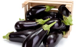 Comment conserver correctement les aubergines à la maison jusqu'à l'hiver