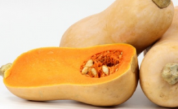 Hybride hollandais de citrouille mûre 