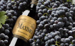 Célèbre cépage tempranillo hypocalorique