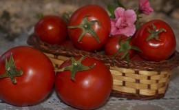 Une variété sans prétention qui nécessite un minimum de soins - la tomate naine japonaise