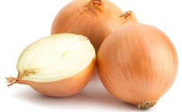 Hybride moyen précoce d'oignons Helenas à haut rendement