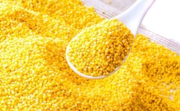 La composition et les propriétés utiles du mil (millet)