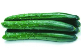 Concombre délicieux et aromatique 