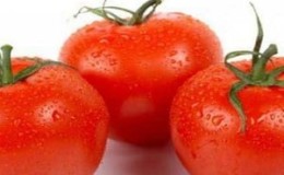 Pourquoi la tomate 